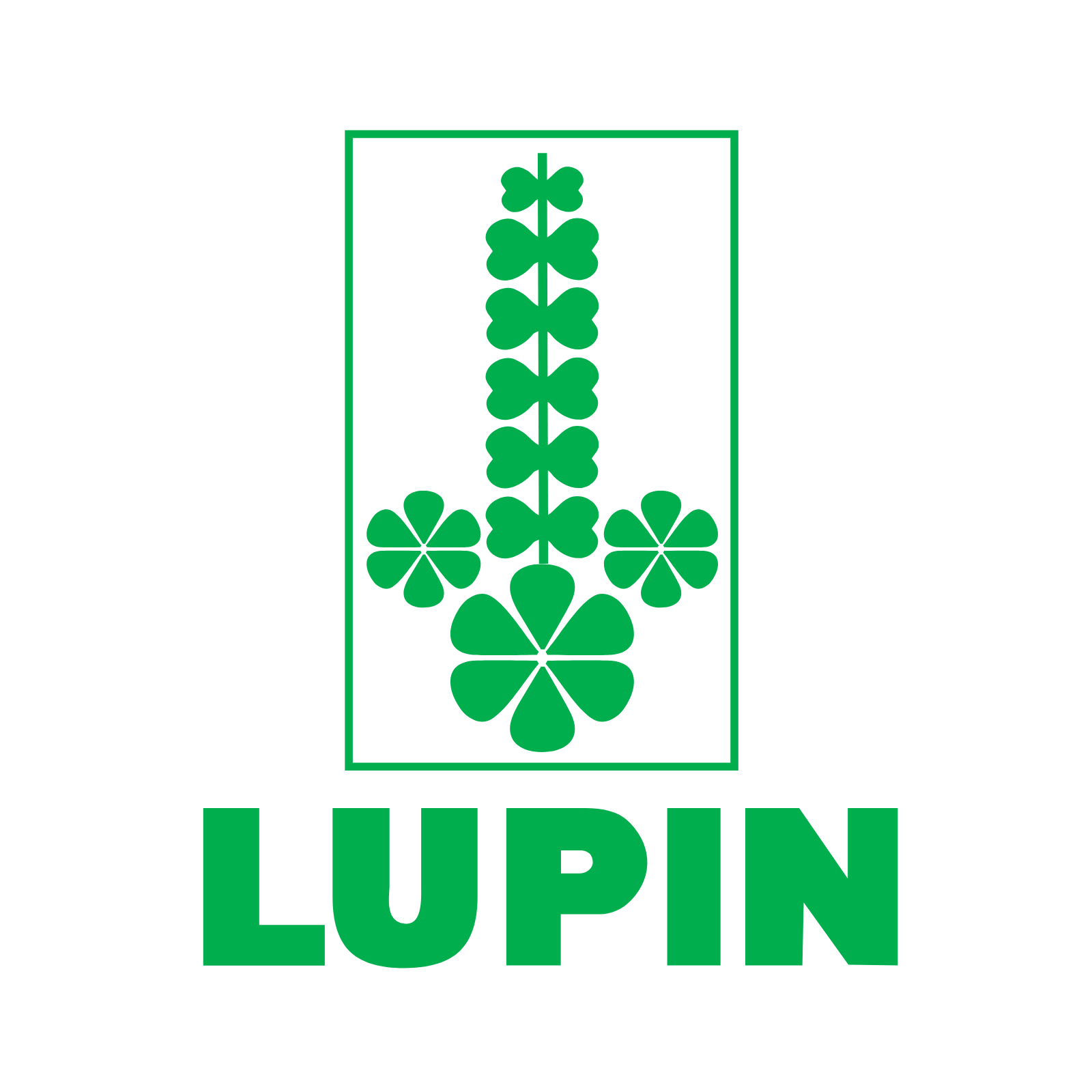 Lupin